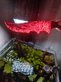 Hand-crafted stone tools: stone knives, "Flame Blade" stone blades, and obsidian "Dragon-Glass" blades. "Dragon-Slaying Blade" (Standard Classic Series): Dragon-Slaying Blade, Blood-Weeping Blade, and Crystal Knife.